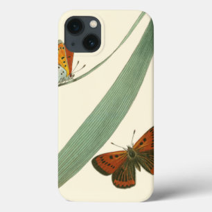 Colorful Butterflies Fluttering Around a Leaf iPhone 13 Case