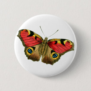 Colorful butterfly 6 cm round badge