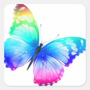 Colorful Butterfly Square Sticker
