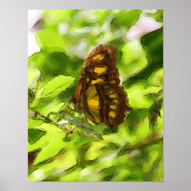 Colorful Butterfly Watercolor Sketch Nature Poster (Front)