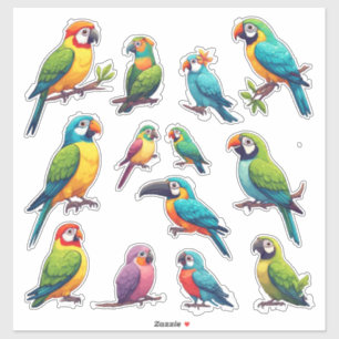 Colorful Cartoon Parrots for Kids & Gifts