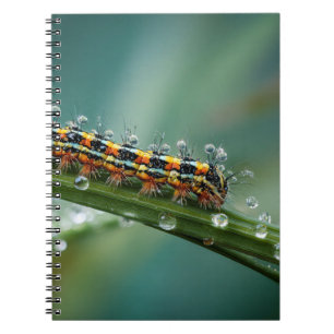 Colorful Caterpillar Dew Notebook