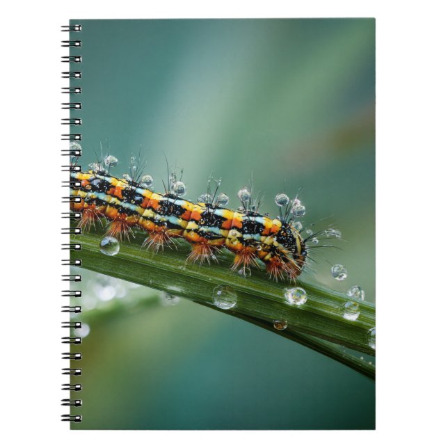 Colorful Caterpillar Dew Notebook (Front)