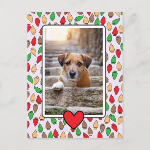 Colorful Christmas Lights Dog Postcard
