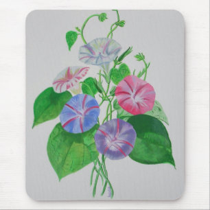 Colorful Climbing Morning Glory Botanical Art Mouse Mat