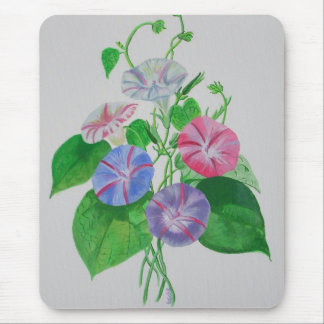 Colorful Climbing Morning Glory Botanical Art Mouse Mat