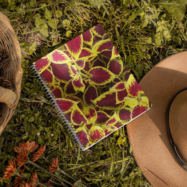 Colorful Coleus Plant Leaves Floral Notebook (In Situ)