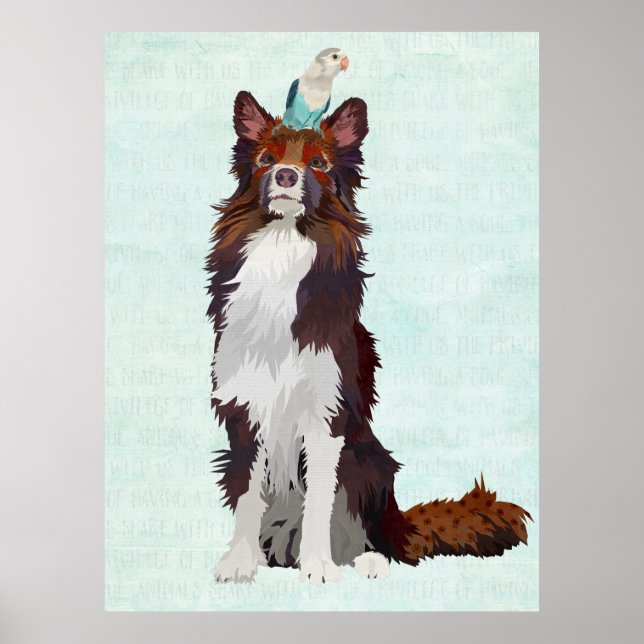 COLORFUL COLLIE & BLUE BIRD POSTER (Front)