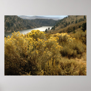 Colorful Colorado Canyon Brush Prints