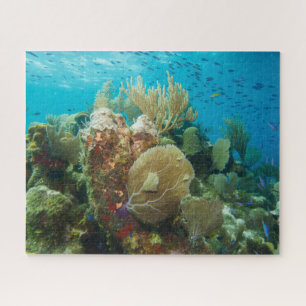 Colorful Coral Reef Jigsaw Puzzle