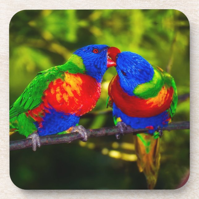 Colorful Couple of Kissing Parrots Coaster (Front)