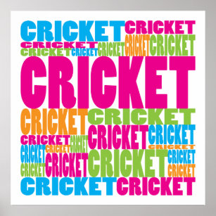 Cricket Posters & Prints | Zazzle UK