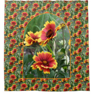 Colorful Daisies Flower Pattern Nature Shower Curtain