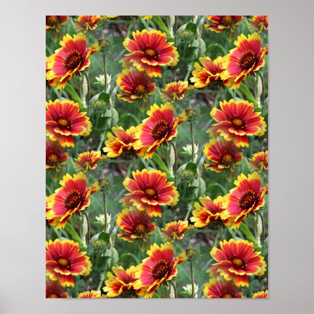 Colorful Daisy Flowers Nature Pattern  Poster (Front)