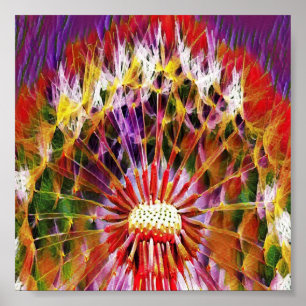 Colorful dandelion flower poster