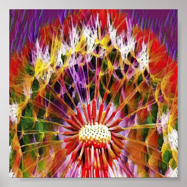 Colorful dandelion flower poster (Front)