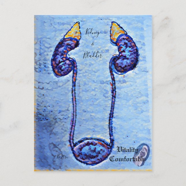 colorful design of the kidneys and bladder postcard (Front)