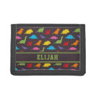 Colorful Dinosaur Silhouettes Pattern, Kids Name