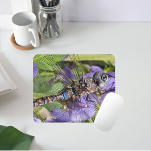 Colorful Dragonfly on Purple Flowers Mouse Mat