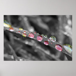 Colorful drop-colorful drops-gouttes colorées poster