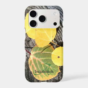Colorful Fall Aspen Tree Leaves on Log Photo