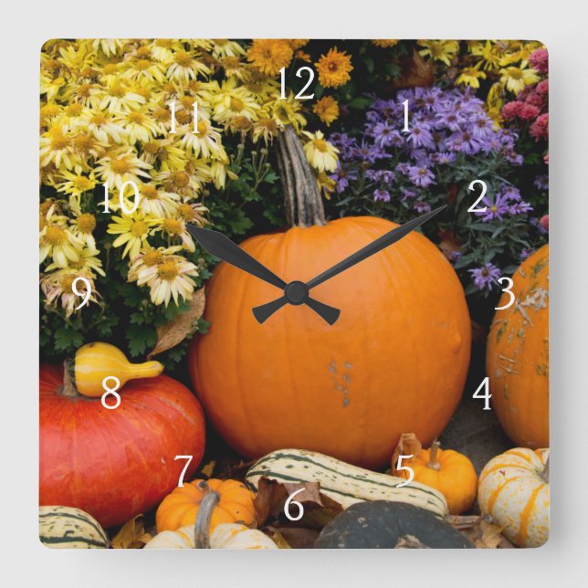 Colorful fall decorative pumpkin display square wall clock (Front)