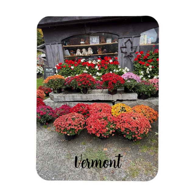Colorful fall mums magnet (Vertical)