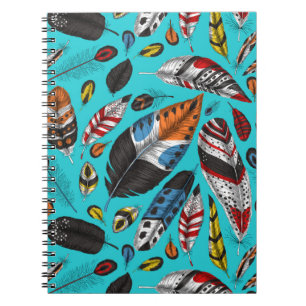 Colorful feathers notebook