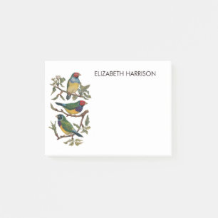 Colorful finch birds illustration Post-it Notes