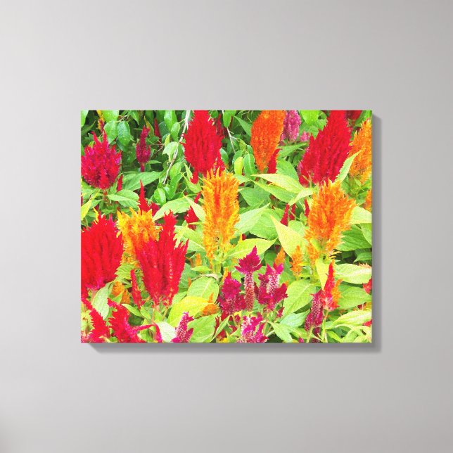 COLORFUL FLORA #1 CANVAS PRINT (Front)