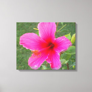 COLORFUL FLORA #5 CANVAS PRINT