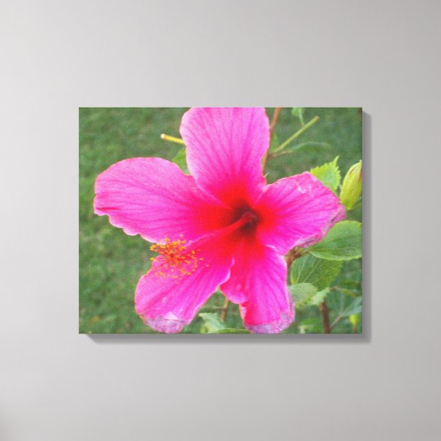 COLORFUL FLORA #5 CANVAS PRINT (Front)