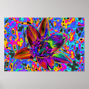 colorful flower poster