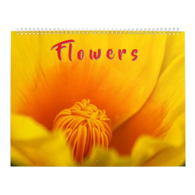 Colorful Flowers  Calendar (Cover)