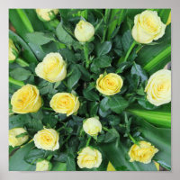 colorful+ flowers,    garden+ gnome,