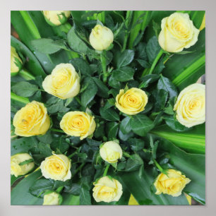 colorful+ flowers,    garden+ gnome, poster