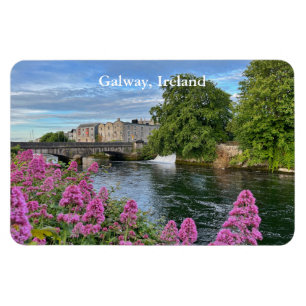 Colorful Flowers on River Corrib Galway, Ireland 2 Magnet