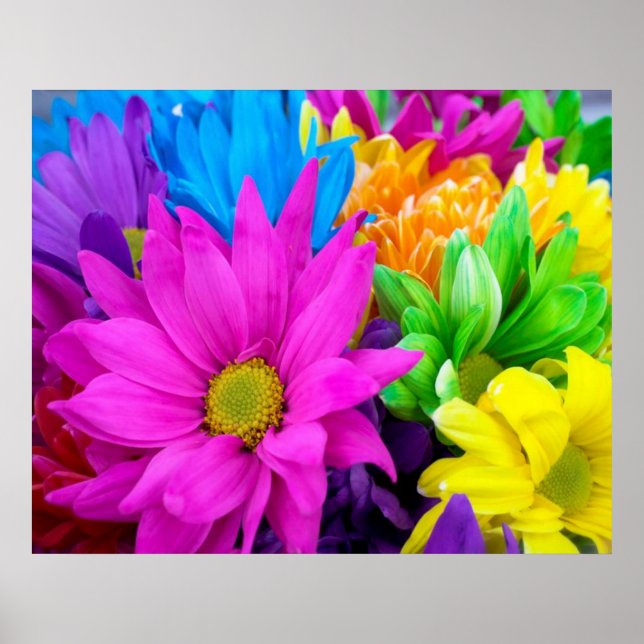 Colorful Flowers Poster (Front)