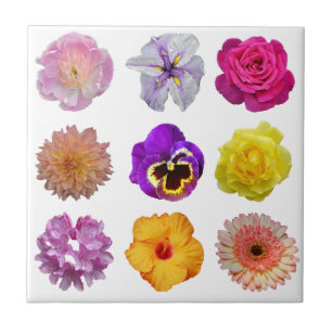 Colorful flowers tile