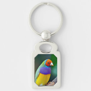 Colorful gouldian finch key ring