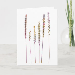 Colorful Grasses Card