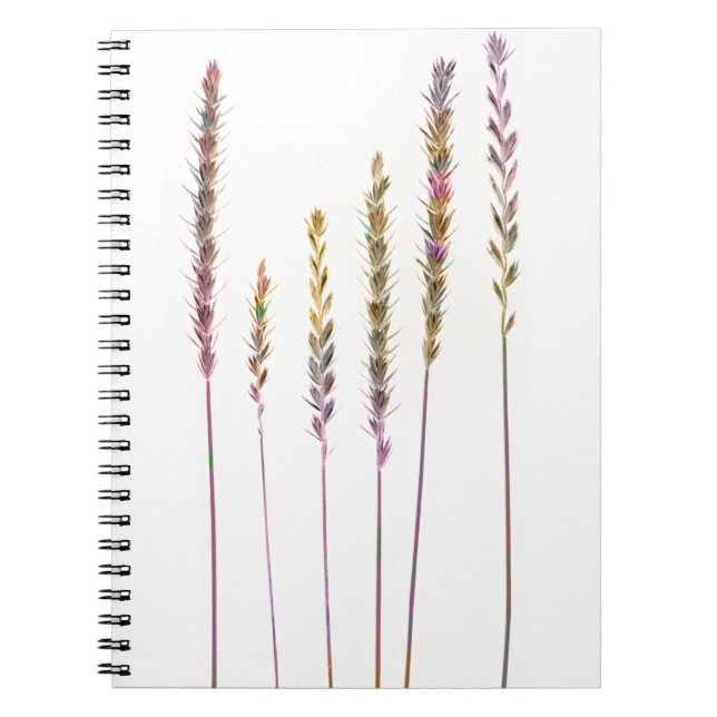 Colorful Grasses Notebook (Front)