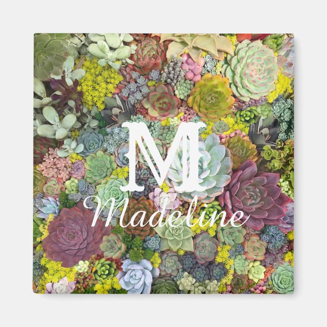 Colorful Greenery Succulents Magnet (Front)