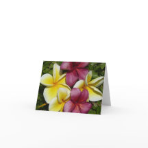 Colorful Hawaiian Plumerias Folded Greeting Card