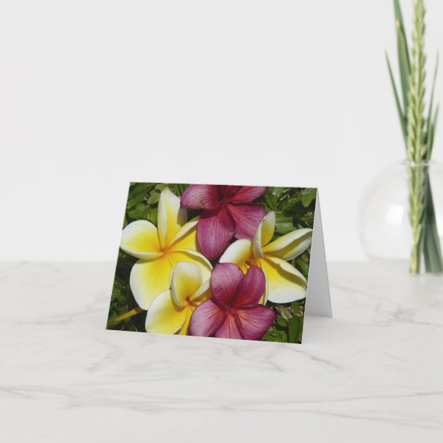 Colorful Hawaiian Plumerias Folded Greeting Card (Front)