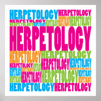 Colorful Herpetology Poster