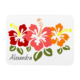 Colorful Hibiscus Trio Personalized Magnet