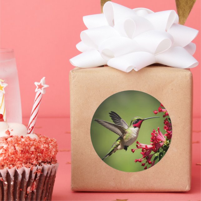 Colorful Hummingbird Classic Round Sticker (Party)