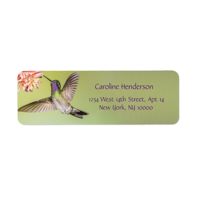 Colorful Hummingbird Flying to a Flower (Front)