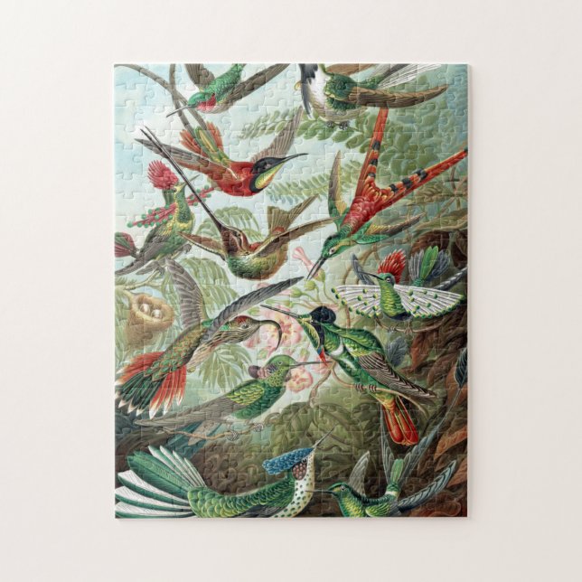 Colorful Hummingbirds by Ernst Haeckel Poster Jigsaw Puzzle (Vertical)
